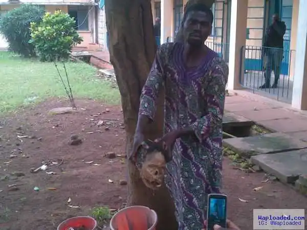Wicked Brothers Kill Two People To Implicate Their Elder Brother Over Inheritance